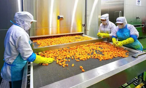 Đà tăng trưởng của rau quả chế biến: Hướng đi bền vững cho nông sản Việt