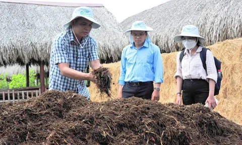 Đề án trồng trọt giảm phát thải giai đoạn 2025 - 2035