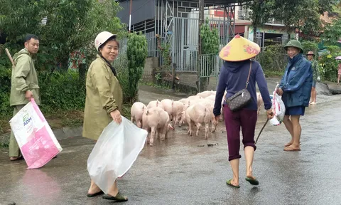 Tuyên Quang: Xã Nà Hang ứng phó với mưa lũ do ảnh hưởng bão số 10