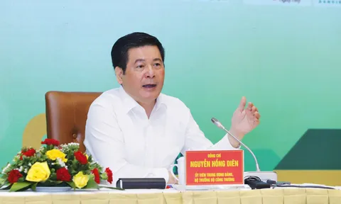 Bứt tốc xuất khẩu bưởi và bơ sang Trung Quốc: Từ lời nói đến hành động quyết liệt