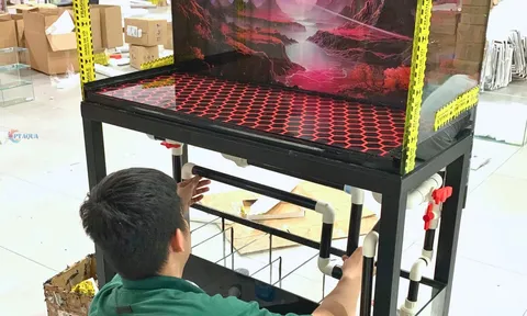 Địa điểm làm hồ cá uy tín tại TPHCM