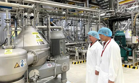 Ngành cà phê Việt Nam: Chuyển mình ngoạn mục, giá trị vượt mốc tỷ đô