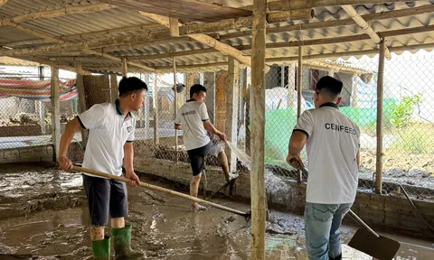 Công ty CP dinh dưỡng 3F Việt Nam đồng hành cùng người dân sau bão số 10