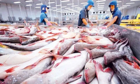 Thủy sản Việt Nam: Nâng cấp vị thế tại thị trường Đài Loan