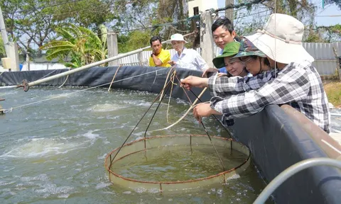 Cần Thơ tiên phong ứng dụng công nghệ cao: Giải pháp phát triển nông nghiệp thích ứng biến đổi khí hậu