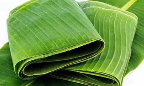 Lá cây Việt Nam: Giải pháp vàng đưa phụ phẩm nông nghiệp vượt mốc 9 triệu đô