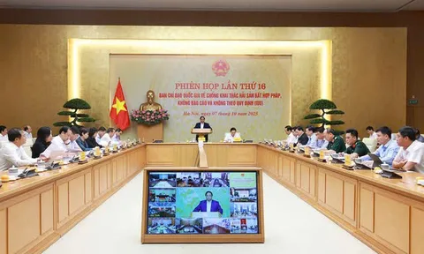 Thủ tướng yêu cầu xử lý dứt điểm bốn vấn đề cốt lõi, quyết tâm gỡ thẻ vàng IUU trước mốc thời gian 2025
