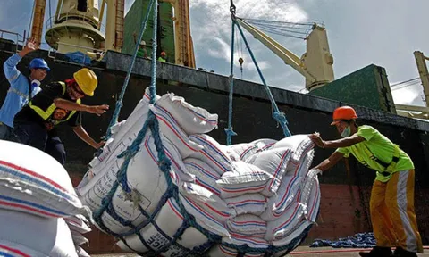 Philippines tính kéo dài lệnh tạm dừng nhập khẩu gạo đến 2026: Giải pháp nội địa và những áp lực thương mại