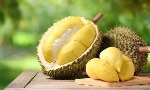 Thị trường sầu riêng và bài toán cạnh tranh: Giải pháp nâng cao chất lượng