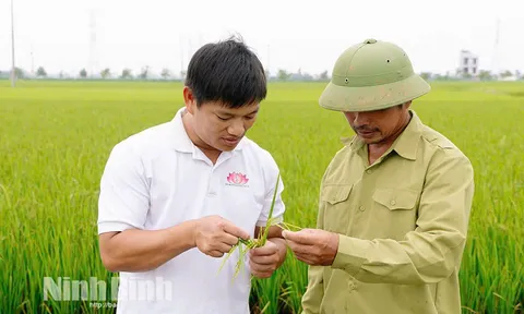 Khoa học trẻ thay đổi đồng ruộng: Giải pháp công nghệ giúp nông dân tiết kiệm hàng nghìn tỷ đồng