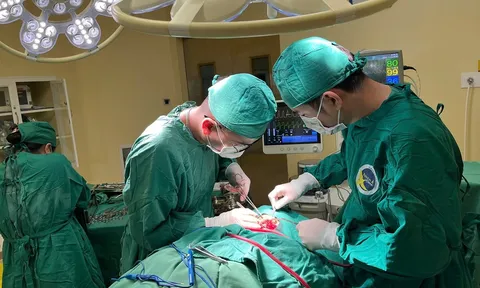 Cụ ông 74 tuổi suýt mất mạng vì máy xịt nước áp lực cao