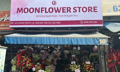 MoonFlower Store - Dịch vụ điện hoa toàn quốc 34 tỉnh thành Việt Nam