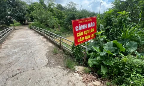 Phú Thọ: Cần sớm khắc phục sạt lở bờ hữu Kênh Bến Tre ở xã Tam Dương