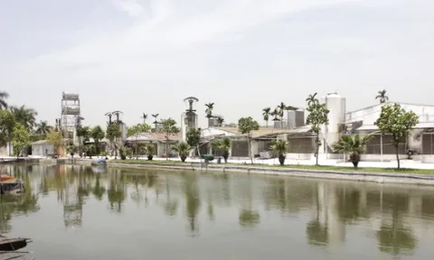 Hà Nội: HTX chăn nuôi Hoàng Long - Minh bạch sản xuất sản phẩm OCOP