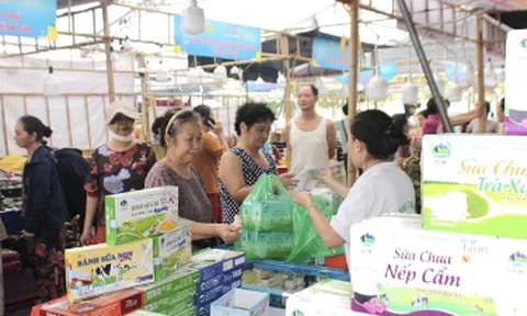 Hà Nội: Sản phẩm OCOP sữa Ba Vì - Đẩy mạnh phát triển thị trường