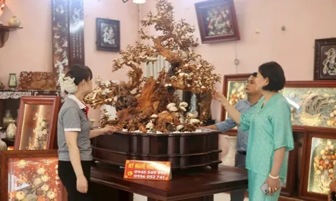 Sản phẩm OCOP Chuyên Mỹ: Gia nhập Mạng lưới các Thành phố Thủ công sáng tạo thế giới