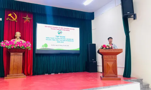 Tác dụng tuyệt vời của việc ăn bưởi đối với sức khoẻ
