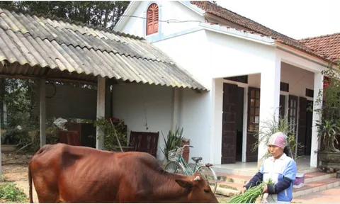 Phú Thọ: Xuân Hòa gắn công tác giảm nghèo với phát triển sinh kế bền vững