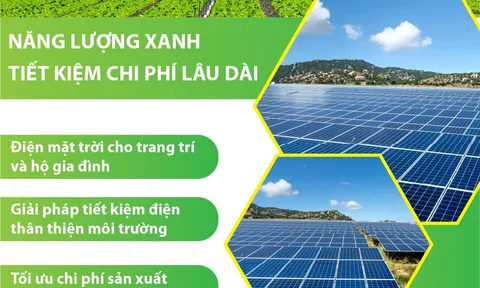 Khai thác tiềm năng điện năng lượng mặt trời: Ứng dụng trong ngành nông nghiệp Việt Nam