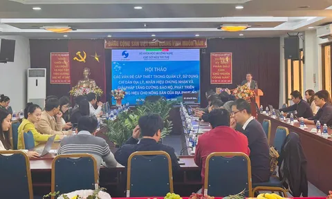 Cục Sở hữu trí tuệ tổ chức hội thảo về quản lý và phát triển thương hiệu nông sản