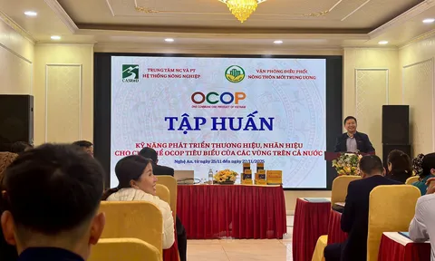 Khai mạc lớp tập huấn kỹ năng phát triển thương hiệu, nhãn hiệu cho chủ thể OCOP tiêu biểu tại Nghệ An