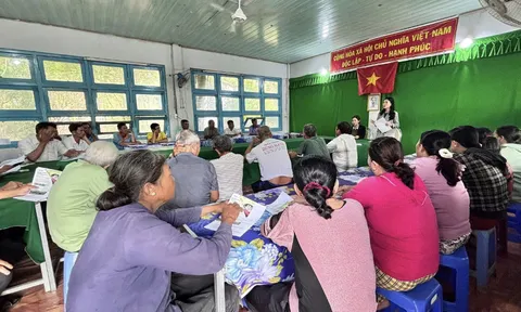 Bảo hiểm nông nghiệp Quốc tế: Khung chính sách, mô hình và yêu cầu đổi mới toàn diện cho Việt Nam