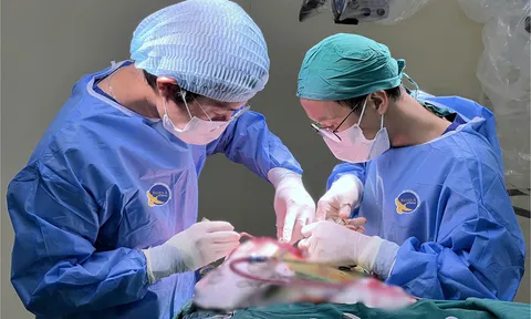 Đau đầu kéo dài, nam sinh 17 tuổi phát hiện u hiếm vùng tuyến tùng