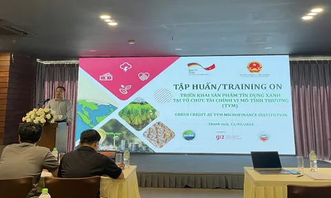 Tín dụng xanh: Bước tiên phong trong tài chính xanh cho phát triển bền vững