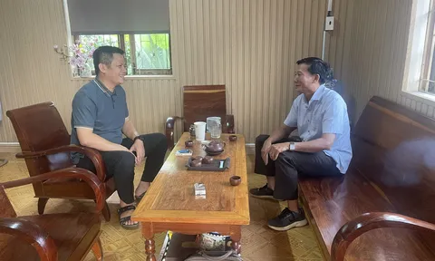 Trồng cây chắn gió cho vườn cà phê, sầu riêng - Lợi ích kép từ giải pháp hữu hiệu