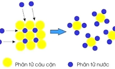 Giải pháp xử lý cáu cặn cho lò hơi với công nghệ Scale Doctor