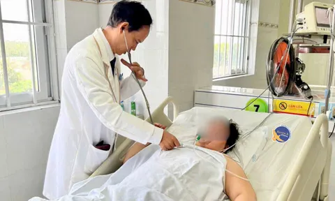 Người phụ nữ nhập viện vì nhầm nấm dại thành nấm rơm