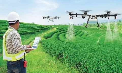 Nông nghiệp Việt Nam: Khát vọng vươn mình trong kỷ nguyên số
