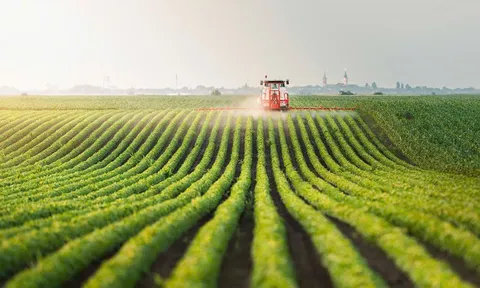 Từ xuất thô sang "mỏ vàng" bền vững: Cuộc cách mạng đa giá trị của nông nghiệp Việt