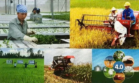 Giai cấp nông dân Việt Nam: Tâm thế và vị thế mới trong kỷ nguyên vươn mình