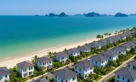 Quảng Ninh thu hút siêu dự án Hạ Long Xanh 18 tỷ USD của Vingroup, đã chính thức khởi công