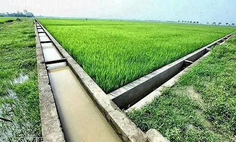 Quy định quản lý, khai thác công trình thủy lợi nhỏ, thủy lợi nội đồng