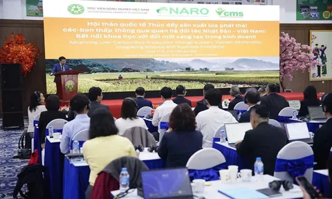 Việt Nam - Nhật Bản: Hợp tác chuẩn hóa lúa gạo phát thải thấp vì mục tiêu tăng trưởng xanh
