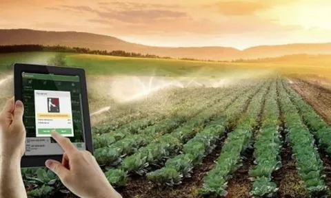 Hỗ trợ hợp tác xã tiếp cận, áp dụng các nền tảng số, công nghệ mới