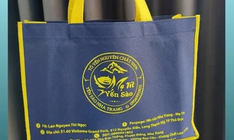 Địa chỉ in logo túi vải không dệt giá rẻ tại TPHCM - In Túi Vải Quốc Minh