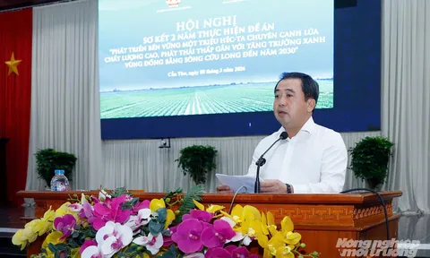 Tái định hình ngành lúa gạo Việt Nam: Hành trình xanh hóa và khát vọng phát triển bền vững