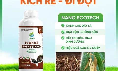 Chuyên gia đánh giá cao Nano Ecotech 1L – Bước tiến vượt trội trong giải pháp kích rễ cây trồng