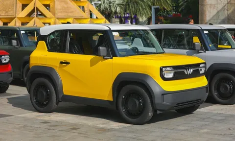 Người trẻ chọn mua ô tô đầu đời miễn nhiễm với bão giá xăng