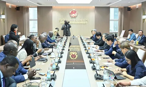 Zambia tìm kiếm động lực tăng trưởng mới từ mô hình phát triển nông nghiệp Việt Nam