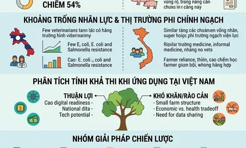 Một sức khỏe và bài toán kháng kháng sinh: Từ thực tiễn quốc tế đến chiến lược hành động tại Việt Nam