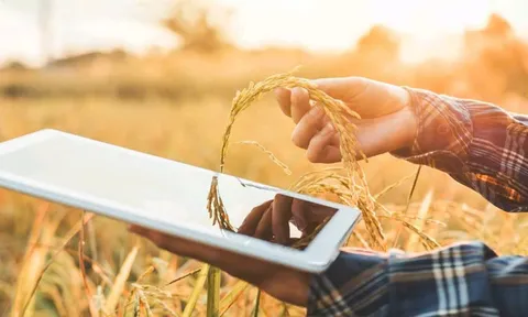 Chiến lược AI của FAO: Lấy công nghệ làm đòn bẩy khoả lấp "khoảng trống" dữ liệu nông nghiệp toàn cầu