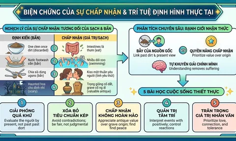 Biện chứng của sự chấp nhận và trí tuệ định hình thực tại