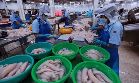 Gọng kìm "chi phí - rào cản": Thủy sản Việt trước phép thử sinh tồn tại thị trường Hoa Kỳ