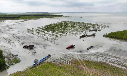 Tây Ninh: Lời giải cho bài toán nâng cao giá trị nông sản từ mô hình liên kết "kiềng ba chân"