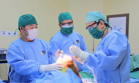 Đau khớp gối kéo dài, dấu hiệu cảnh báo thoái hóa nặng