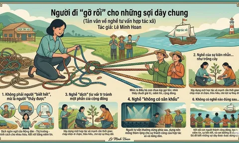 Người đi “gỡ rối” cho những sợi dây chung  (Tản văn về nghề tư vấn hợp tác xã)